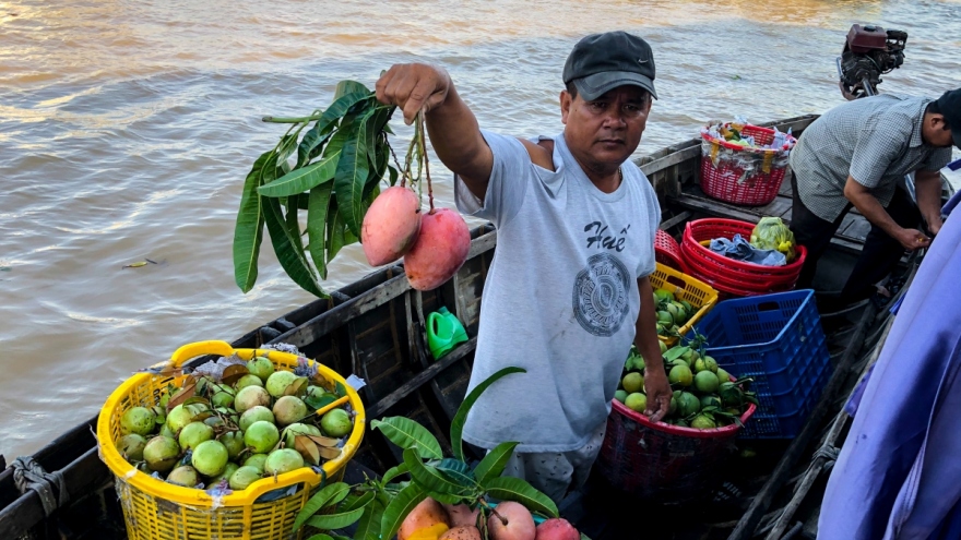 Can Tho deploys green tourism projects at Cai Rang floating market